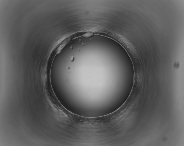 X0000094970532200712061430