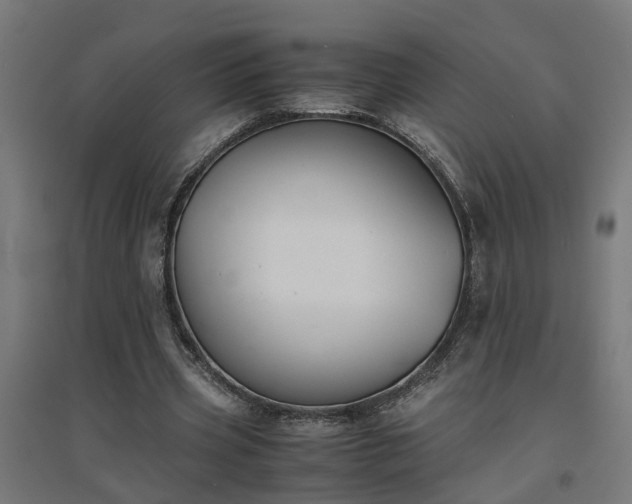 X0000094970533200712061430