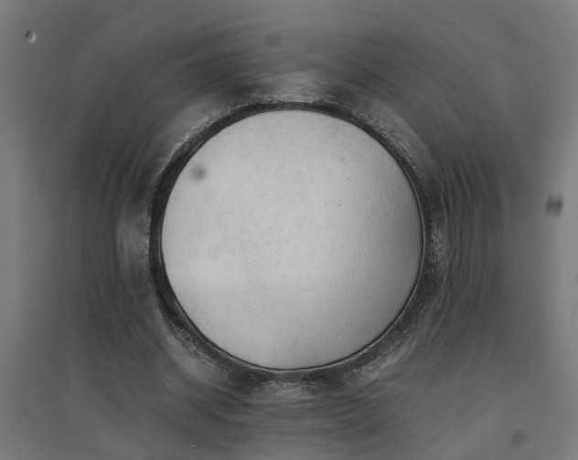 X0000094970534200712061430