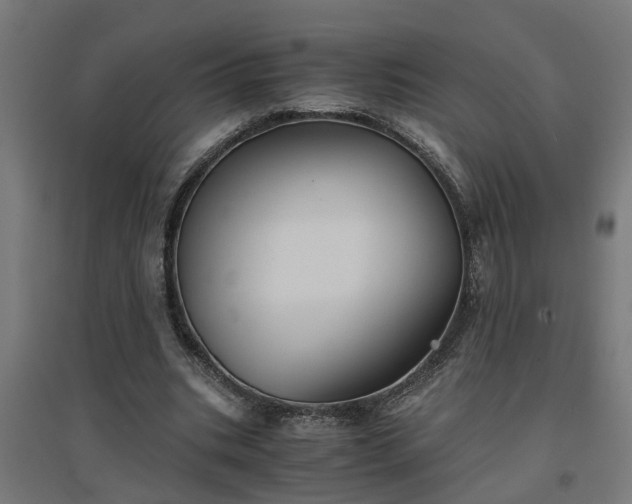 X0000094970535200712061430