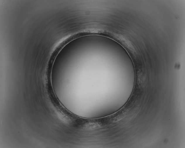 X0000094970536200712061430