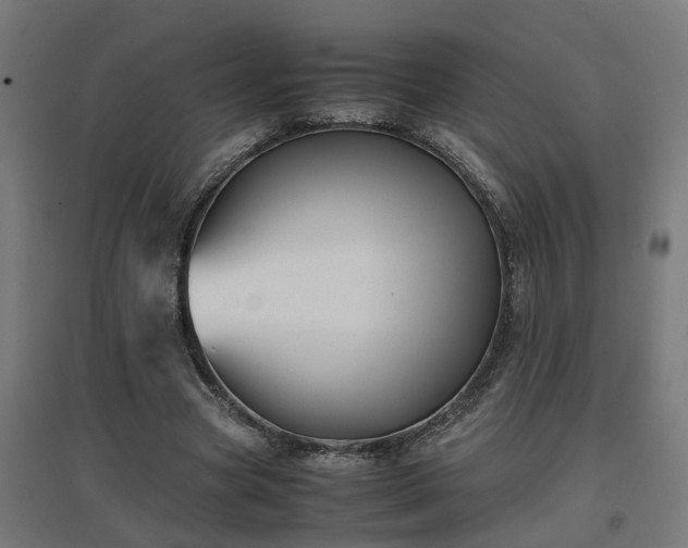 X0000094970537200712061430