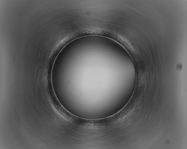 X0000094970538200712061430