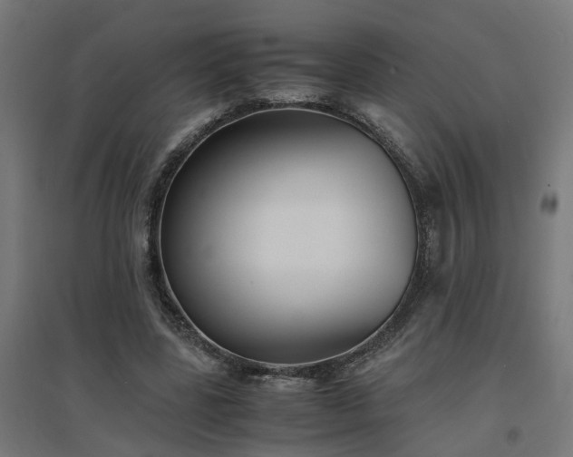 X0000094970539200712061430