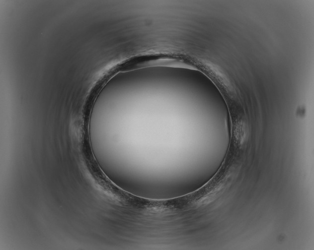 X0000094970540200712061430