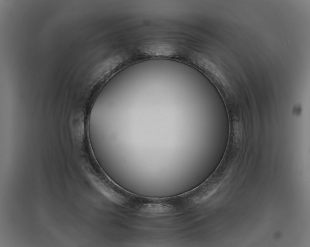 X0000094970541200712061430