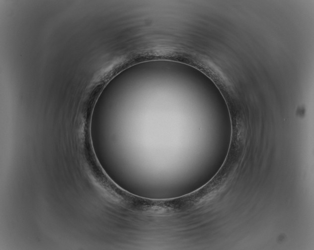 X0000094970542200712061430