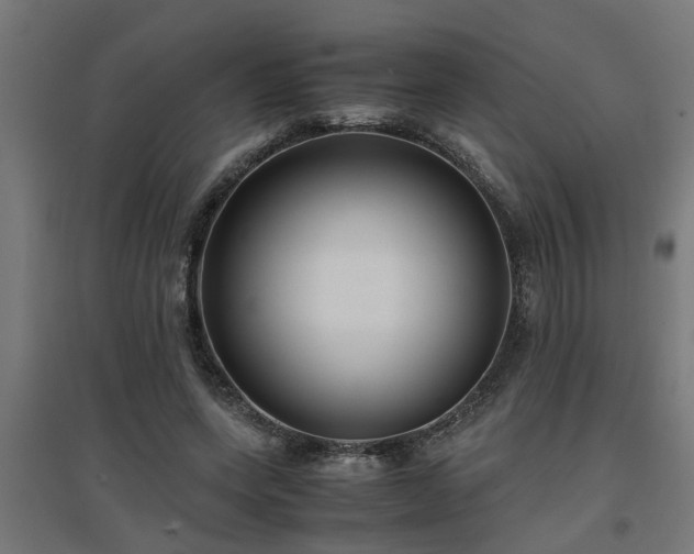 X0000094970543200712061430