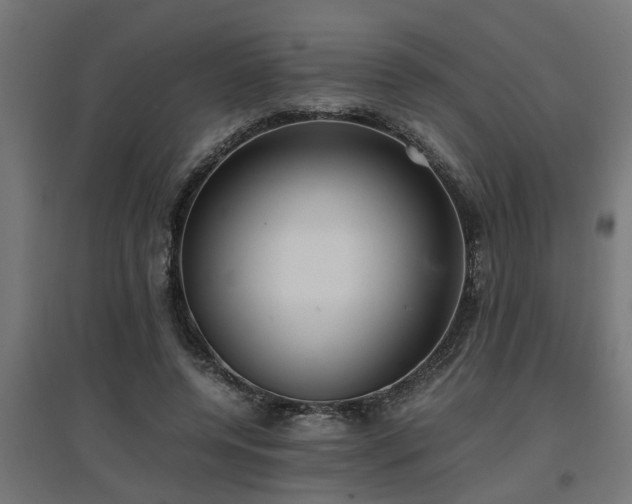 X0000094970544200712061430