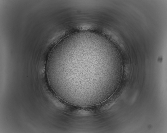 X0000094970545200712061430