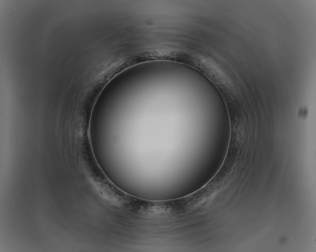 X0000094970546200712061430