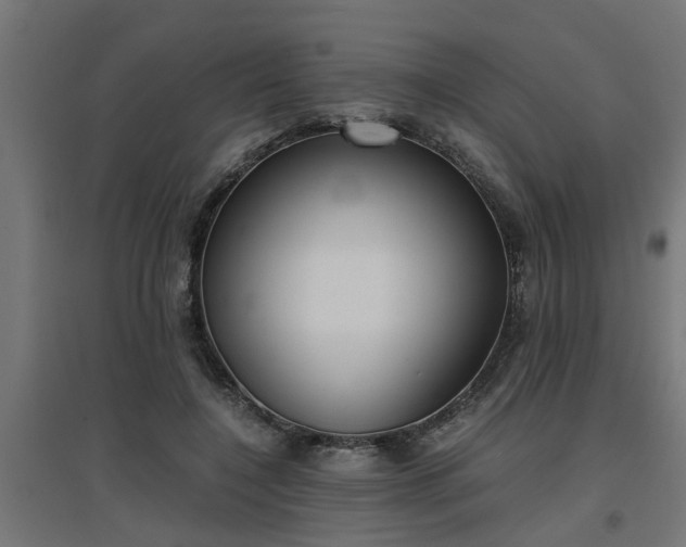 X0000094970548200712061430