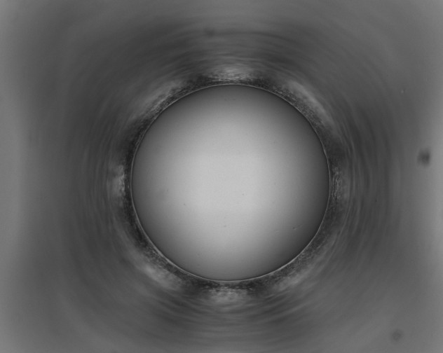 X0000094970549200712061430