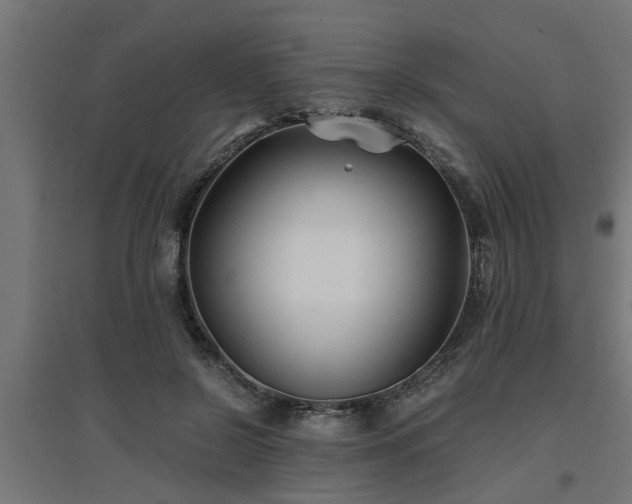 X0000094970550200712061430