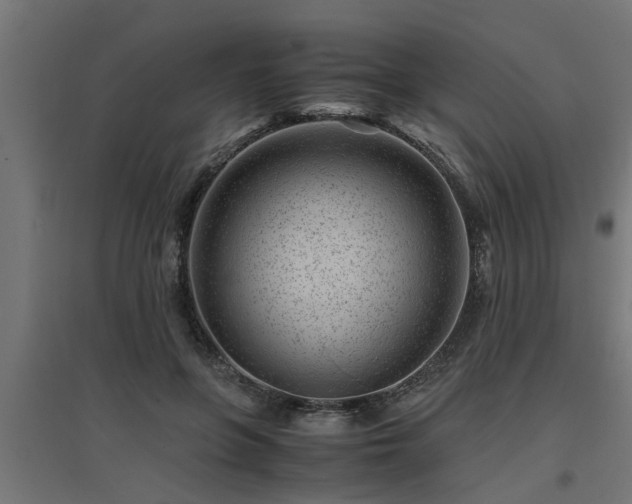 X0000094970551200712061430