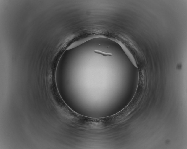 X0000094970552200712061430