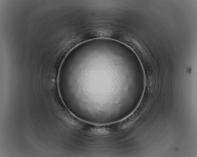 X0000094970553200712061430