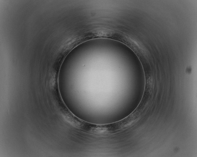 X0000094970554200712061430