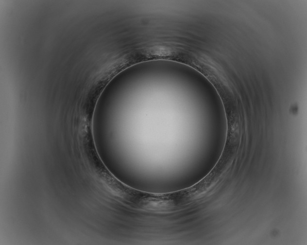 X0000094970555200712061430