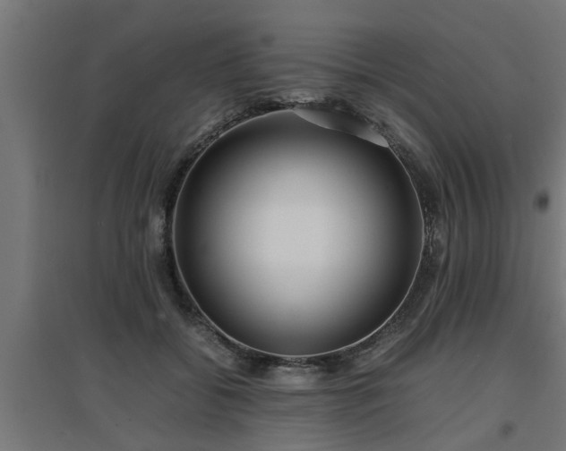 X0000094970556200712061430