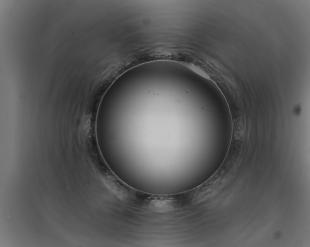 X0000094970560200712061430