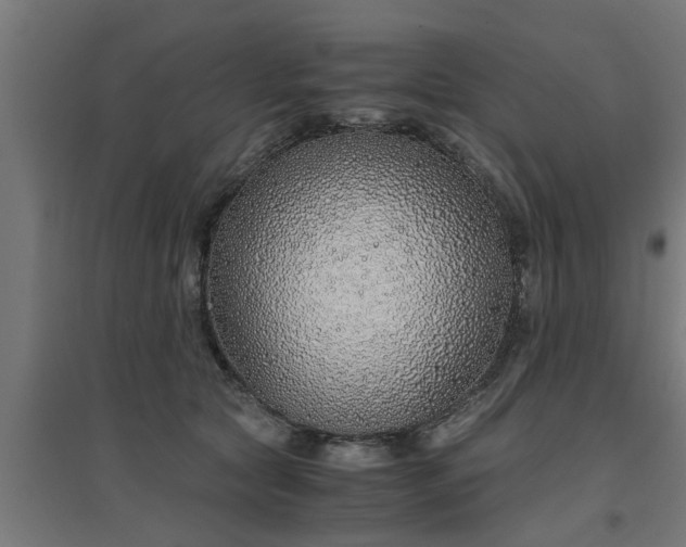 X0000094970561200712061430