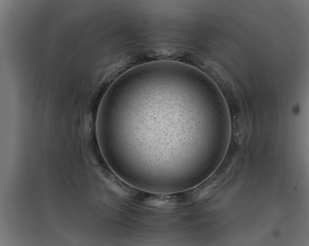 X0000094970563200712061430