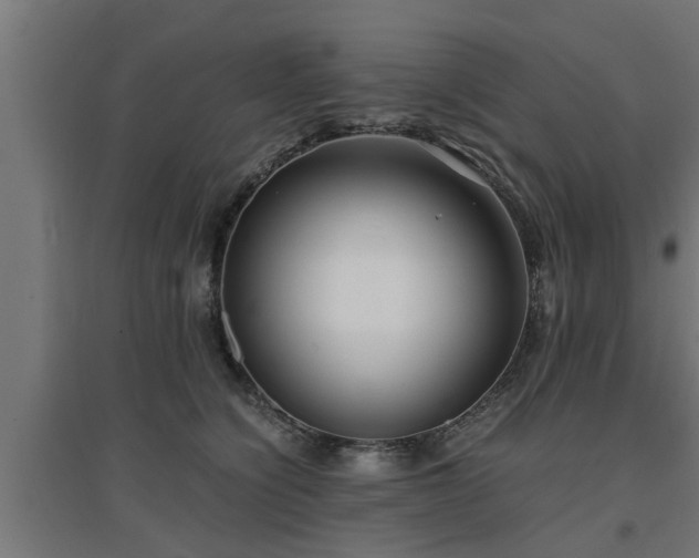 X0000094970564200712061430