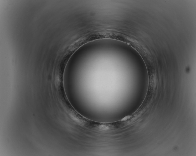 X0000094970566200712061430