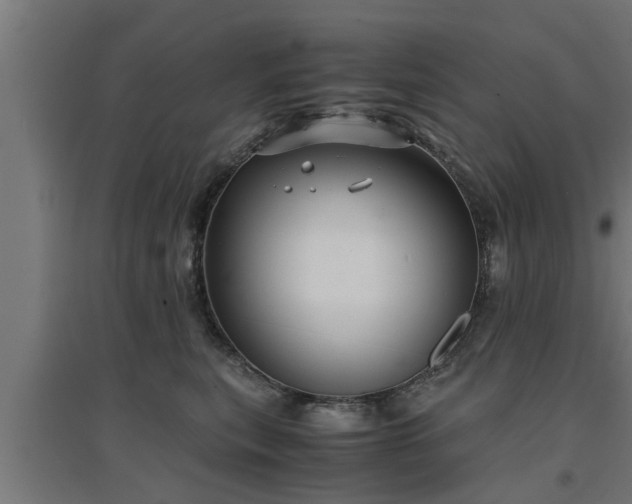 X0000094970567200712061431