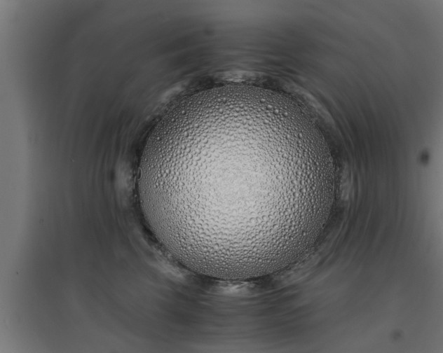 X0000094970569200712061431