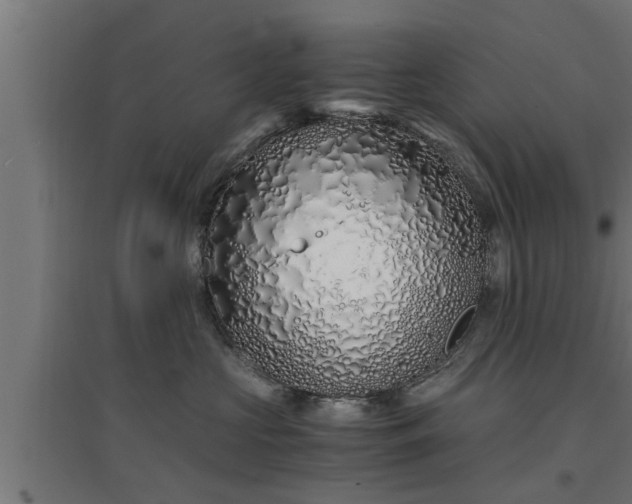 X0000094970573200712061431