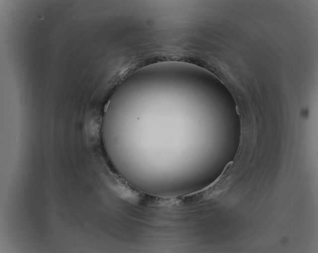 X0000094970576200712061431