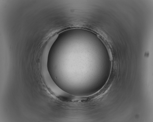 X0000094970577200712061430