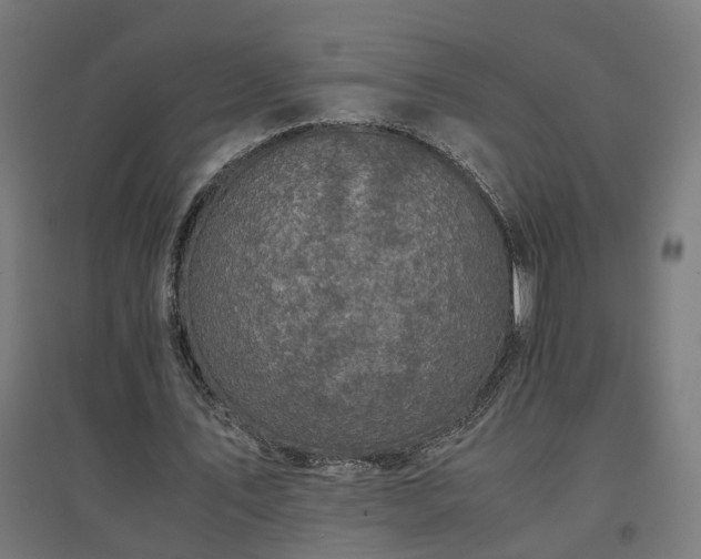 X0000094970579200712061430