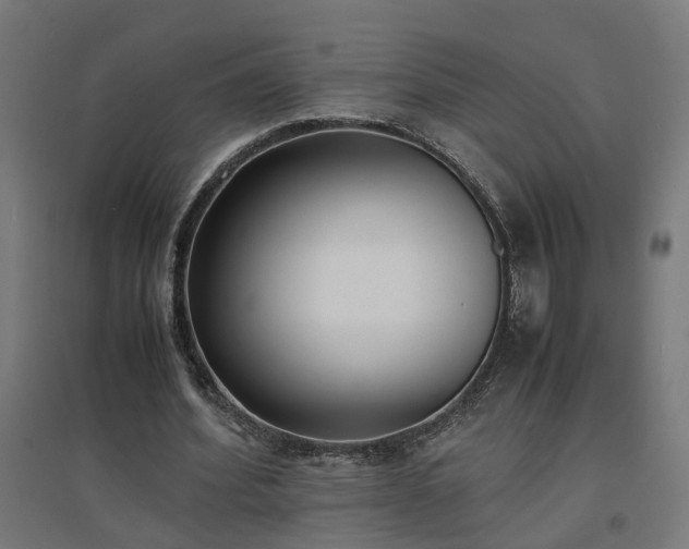 X0000094970580200712061430