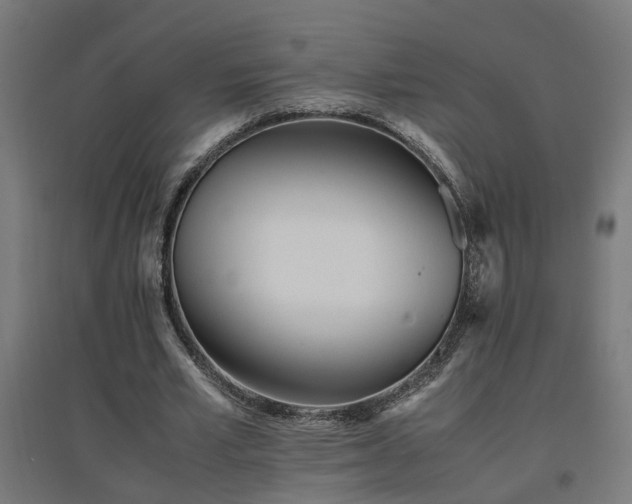 X0000094970581200712061430