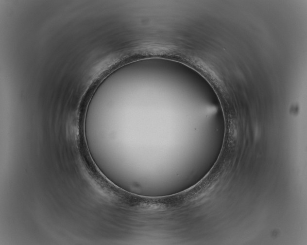 X0000094970582200712061430