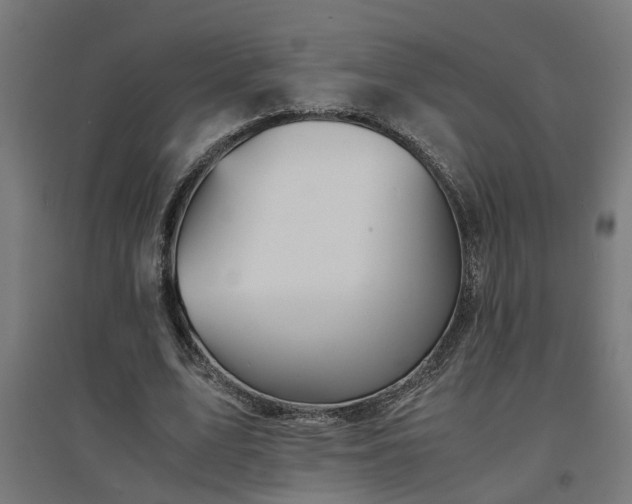 X0000094970583200712061430