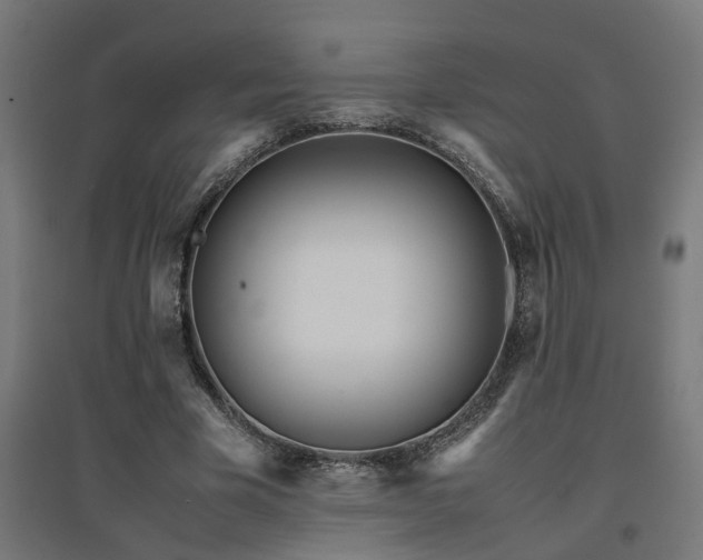 X0000094970585200712061430