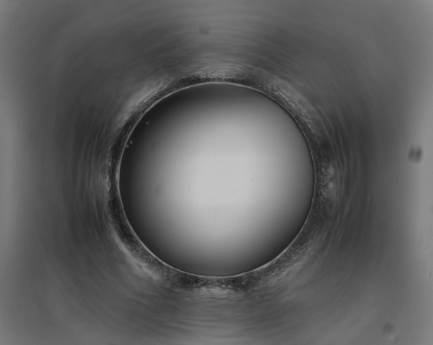 X0000094970586200712061430