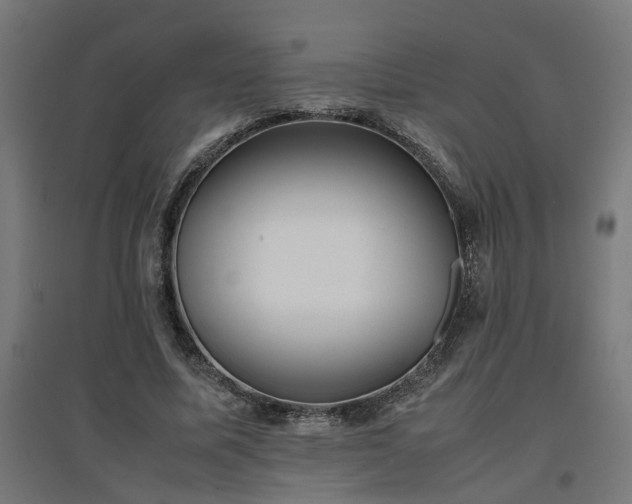 X0000094970587200712061430