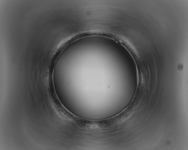 X0000094970588200712061430