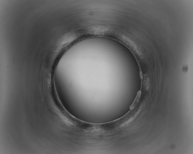 X0000094970589200712061430