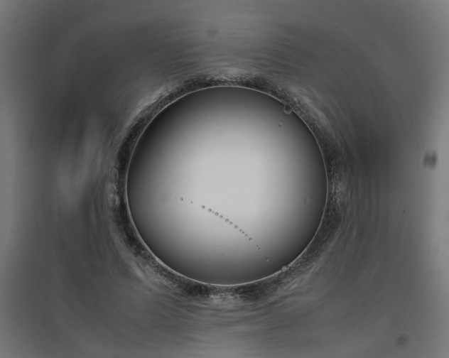 X0000094970591200712061430