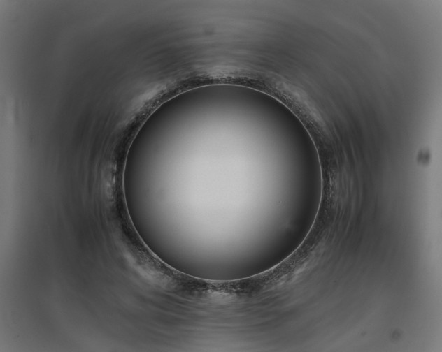 X0000094970592200712061430