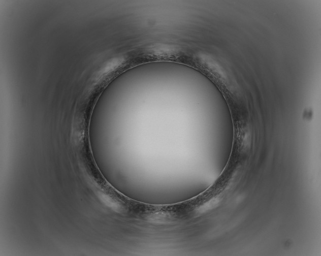 X0000094970593200712061430