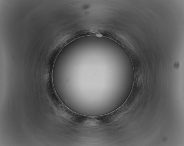 X0000094970595200712061430