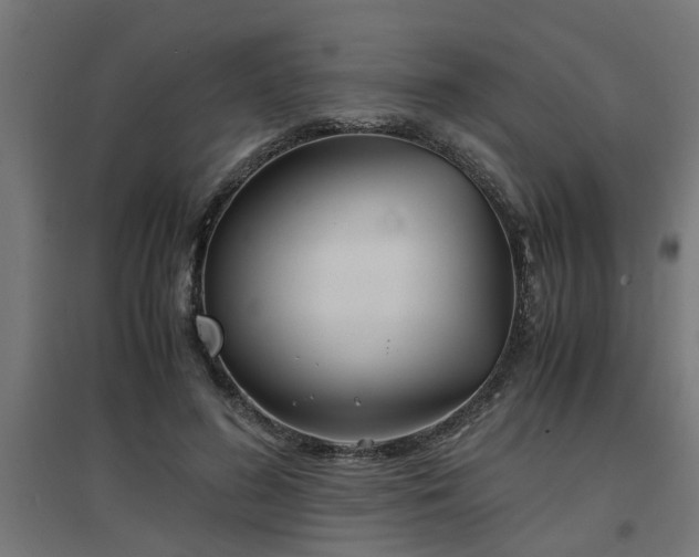 X0000094970596200712061430