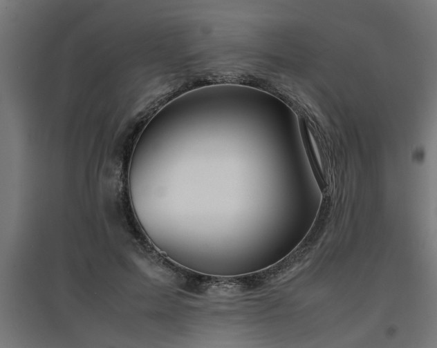 X0000094970599200712061430